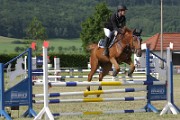 IMG_0010