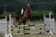 IMG_0037