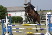 IMG_0041