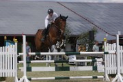 IMG_0003