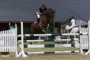 IMG_0006